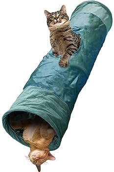 猫 Amazon.co.jp: 【獣医師監修】 Petpia 猫 トンネル 玩具